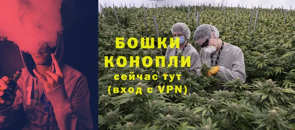дурь Лагань