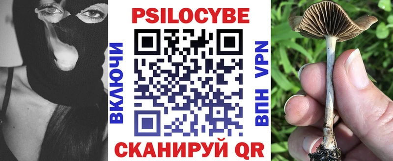 Псилоцибиновые грибы Cubensis  Купить закладки  Дегтярск 